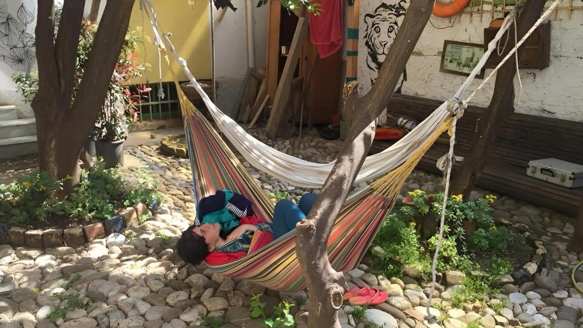 Tirana Backpacker Hostel 阿尔巴尼亚